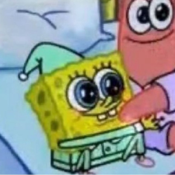 Meet your Posher, Rosie - Picture 1 of 1